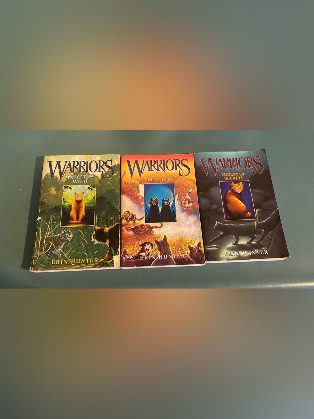 Warrior Series Books 1 to 3: Into the Wild, Fire and Ice, Forest of Secrets